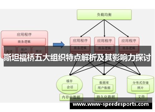 斯坦福桥五大组织特点解析及其影响力探讨