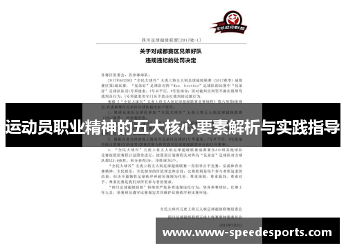 运动员职业精神的五大核心要素解析与实践指导