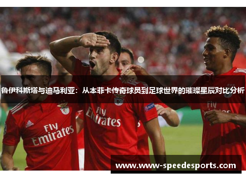 鲁伊科斯塔与迪马利亚：从本菲卡传奇球员到足球世界的璀璨星辰对比分析